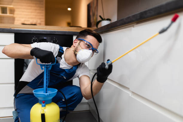 Best Pest Prevention Services  in St George, SC