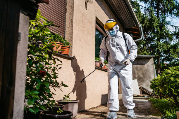 Best Ant Control Services  in St George, SC