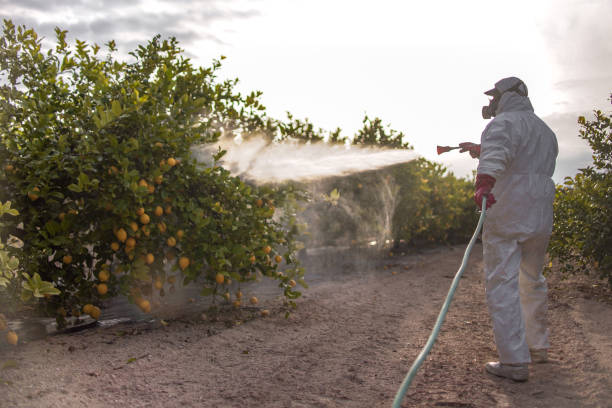 Pest Prevention Services in St George, SC