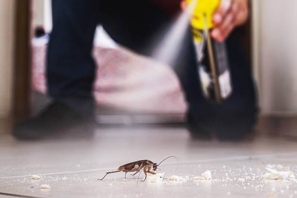 Best Commercial Pest Control Services  in St George, SC