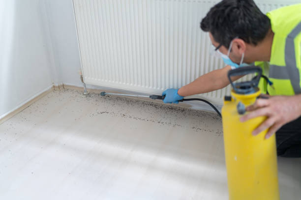 Best Local Pest Control Services  in St George, SC